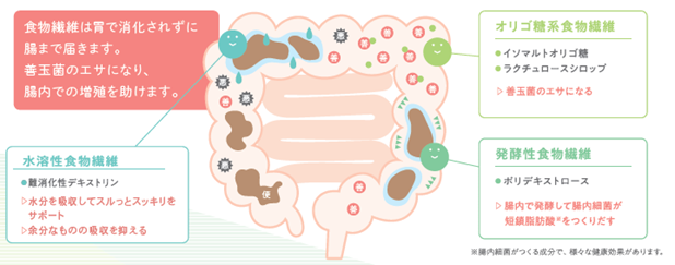 トリプルファイバー