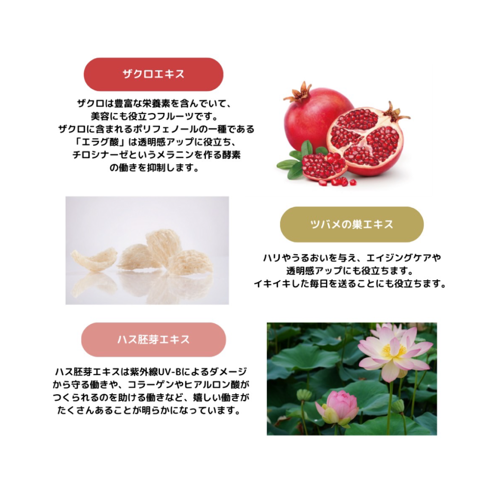 ツバメの巣&コラーゲン6000 10本入り