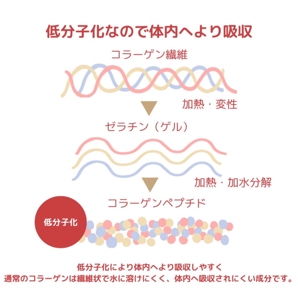 ツバメの巣&コラーゲン6000 10本入り