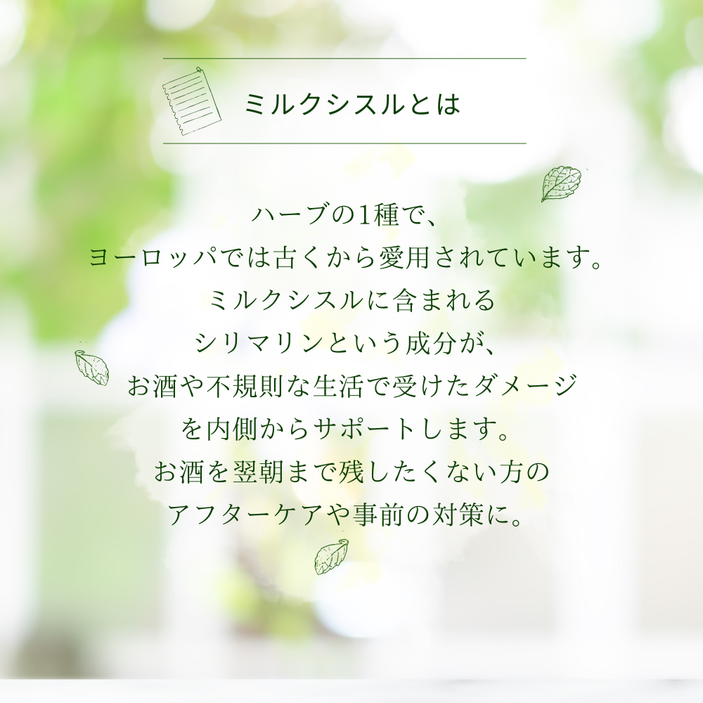 ミルクシスル