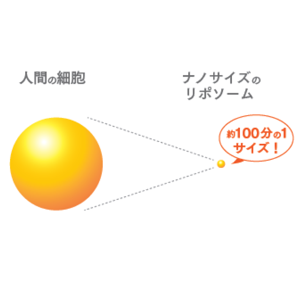 リポソームビタミンD3