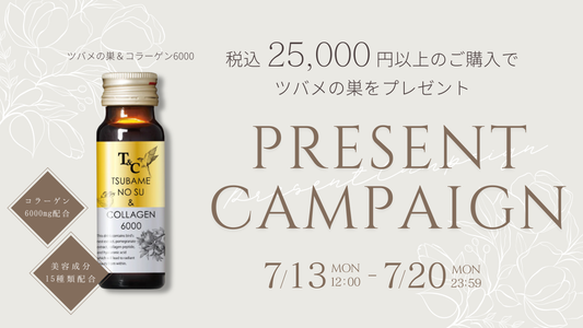 pullツバメの巣イベント