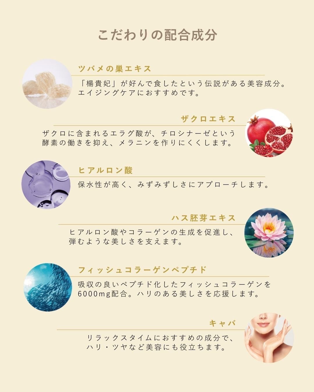 ツバメの巣＆コラーゲン6000 10本入り – pullスキンケア - 公式