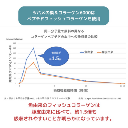 ツバメの巣＆コラーゲン6000 10本入り