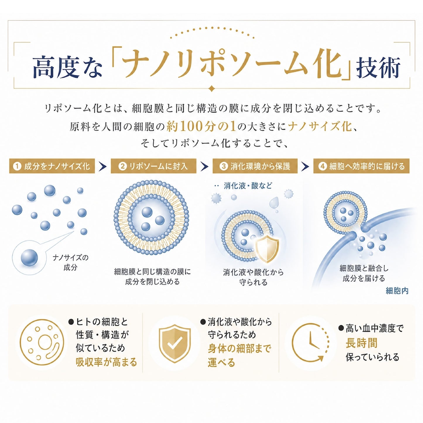 リポソームグルタチオン