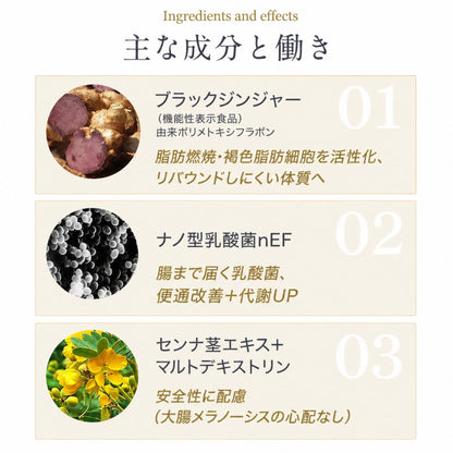 Reパーフェクト／機能性食品
