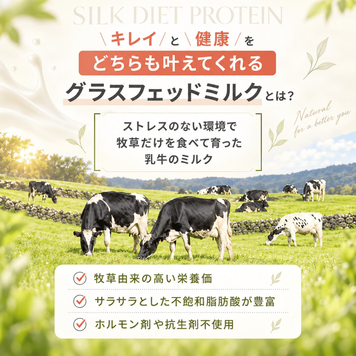 シルクダイエットプロテイン（グラスフェッドプロテイン）