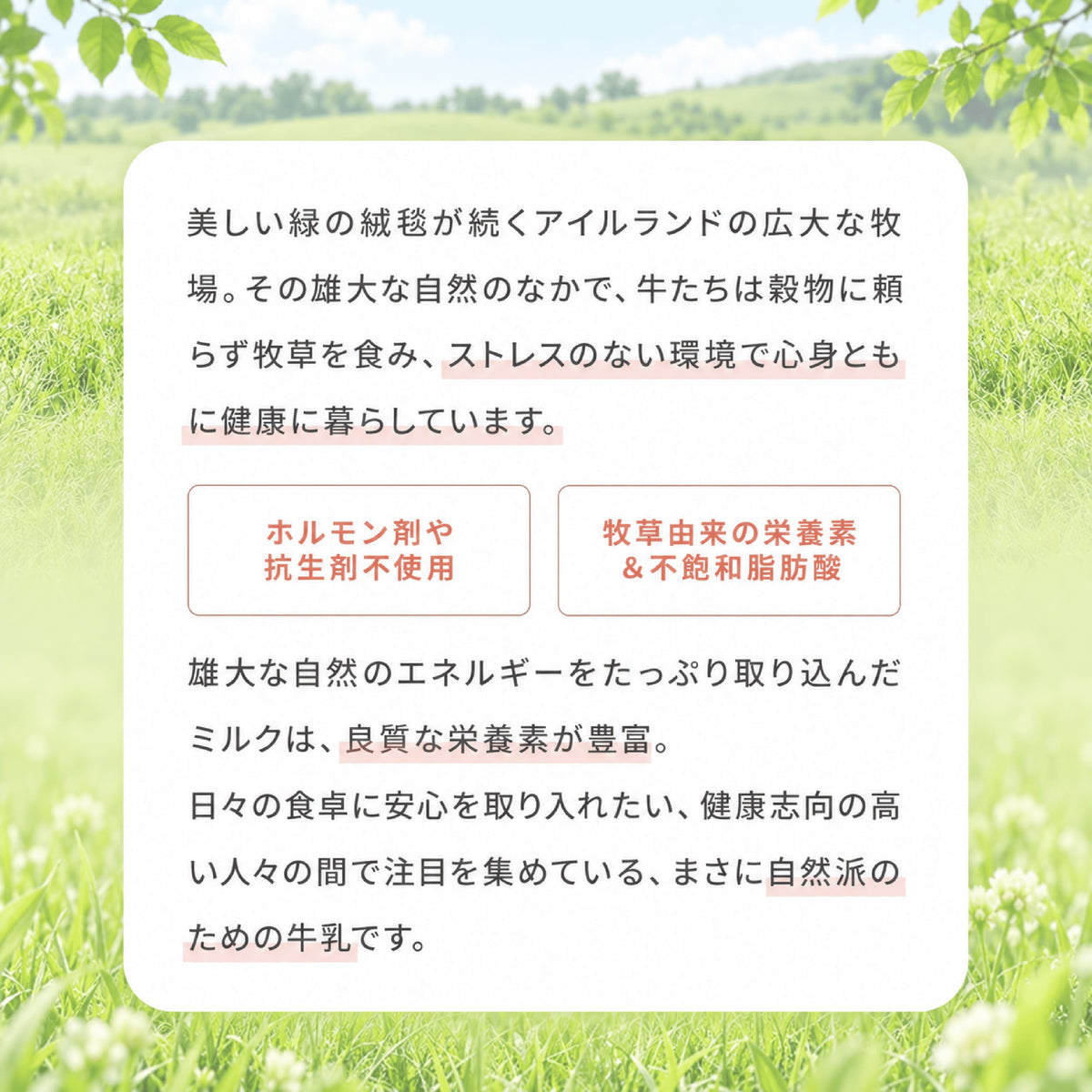 シルクダイエットプロテイン（グラスフェッドプロテイン）