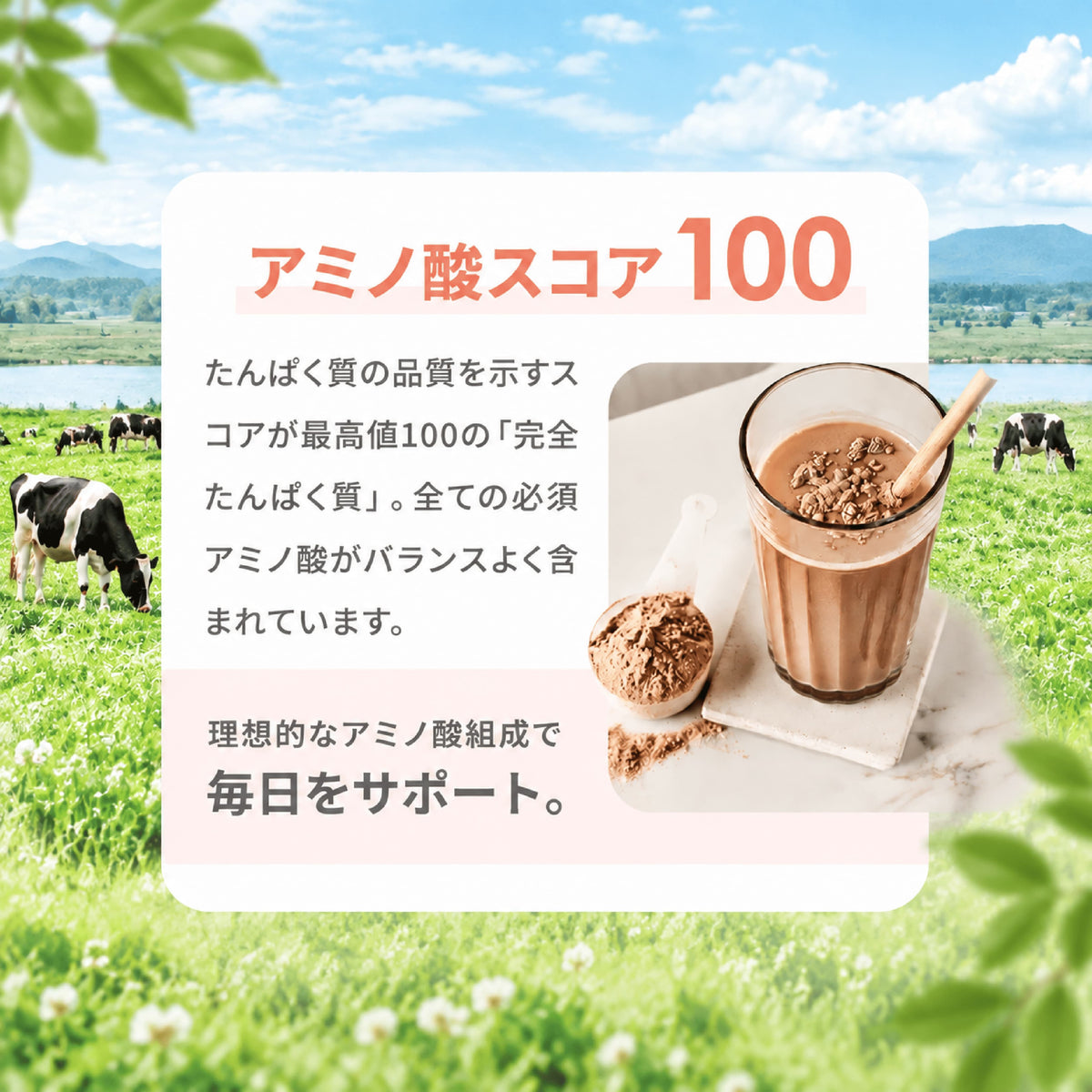 シルクダイエットプロテイン（グラスフェッドプロテイン）
