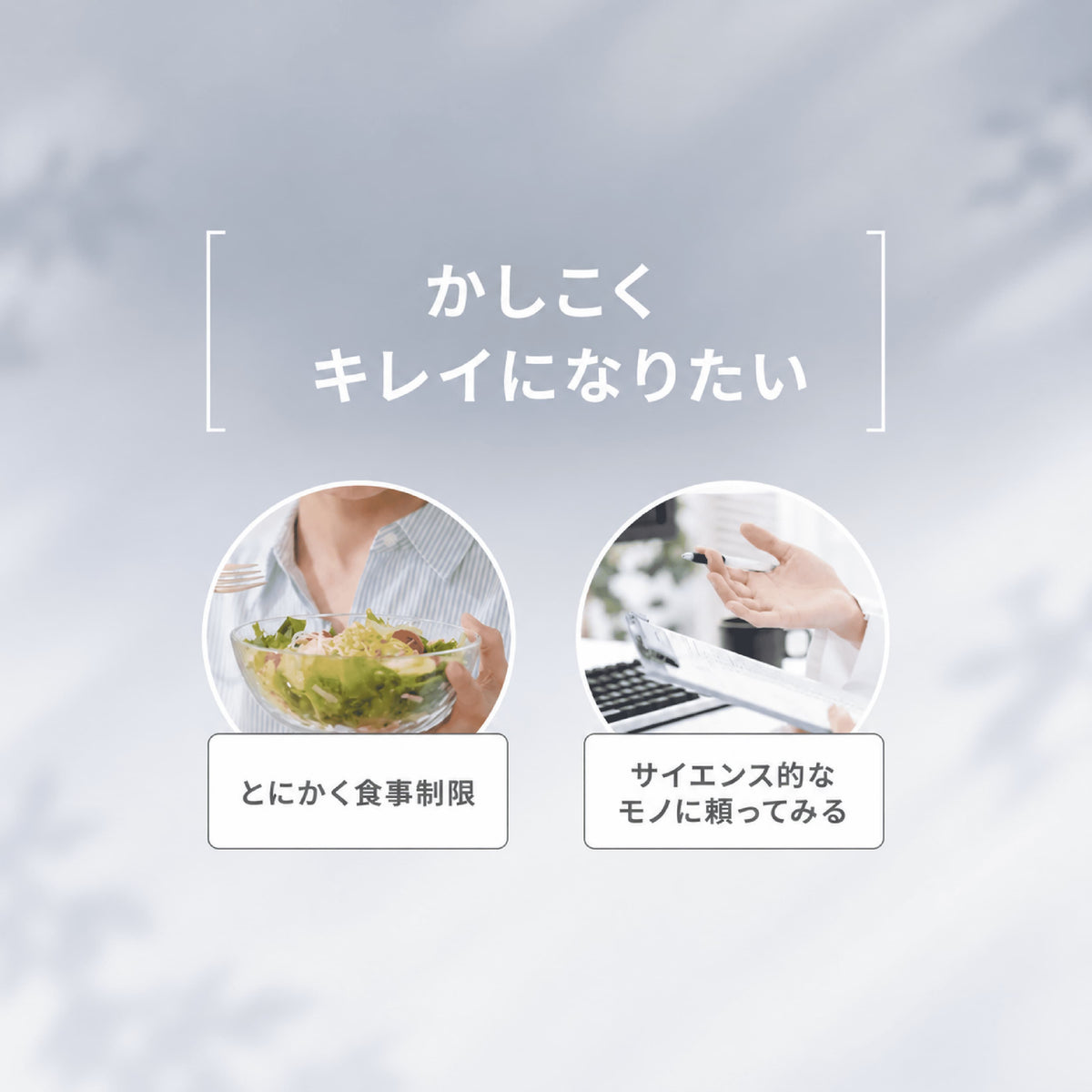 シルクダイエットプロテイン（グラスフェッドプロテイン）